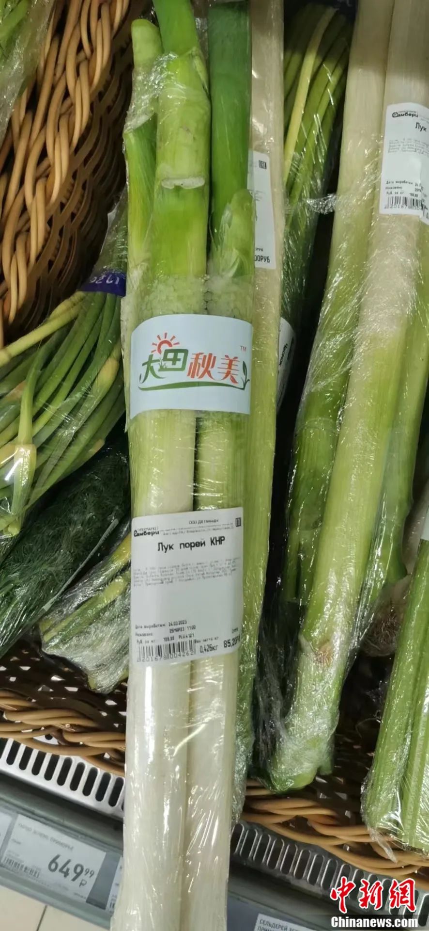比姚明高一頭！這里的大蔥靠什么猛“長個”？(圖3)