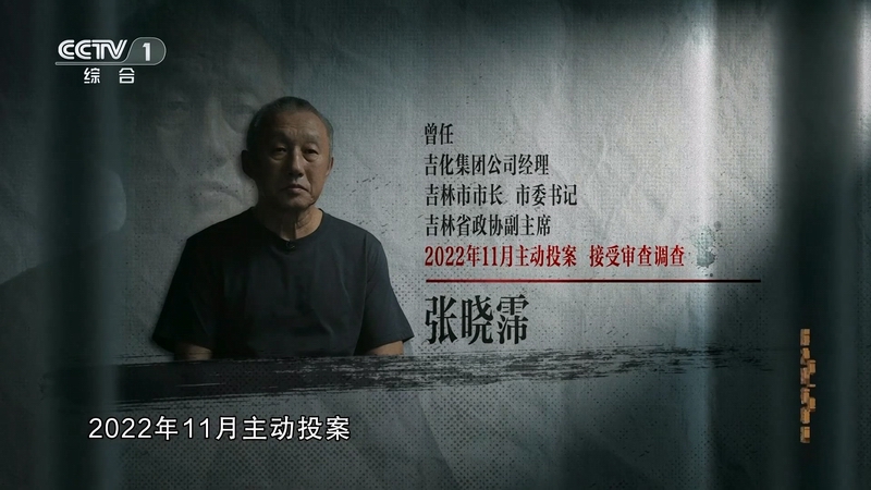 電視專題片《持續發力 縱深推進》第一集《解決獨有難題》(圖10)