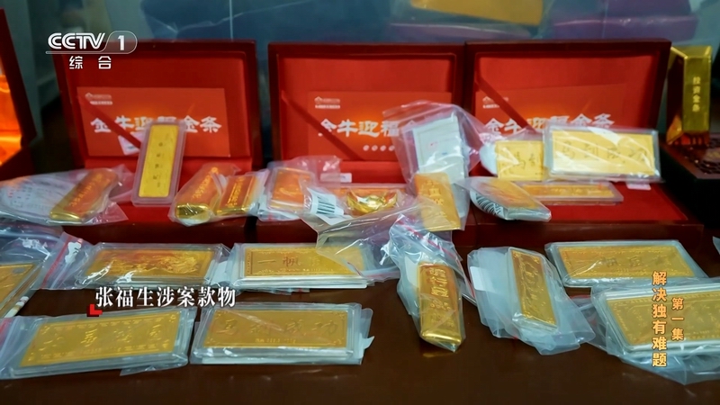 電視專題片《持續發力 縱深推進》第一集《解決獨有難題》(圖3)