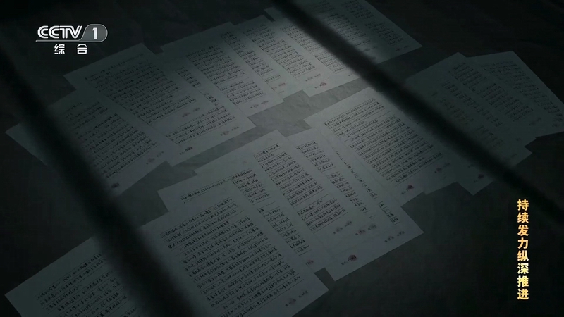 電視專題片《持續發力 縱深推進》第一集《解決獨有難題》(圖9)