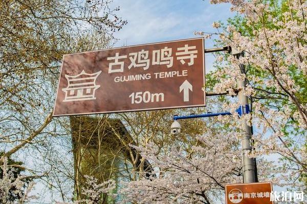2024雞鳴寺櫻花開放時(shí)間是幾月份