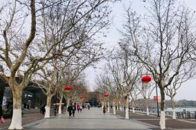 2024上海世紀(jì)公園賞梅游園會時間