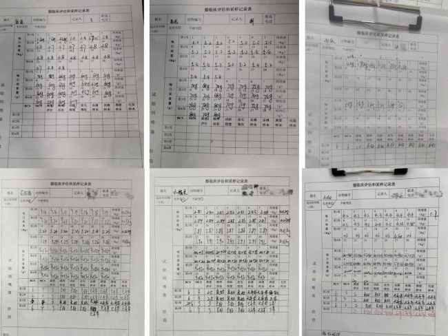好主人100天喂養(yǎng)計劃成功收官 分階主糧引領(lǐng)精細(xì)化養(yǎng)寵趨勢(圖2)