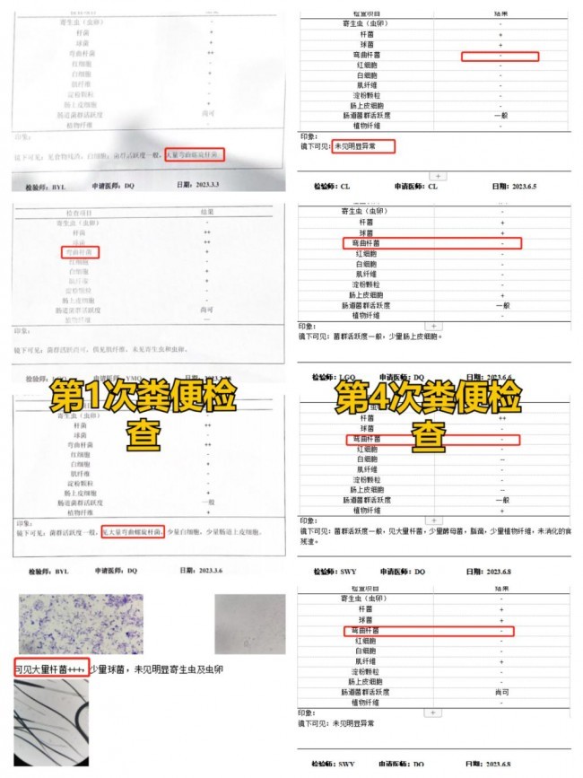 好主人100天喂養(yǎng)計劃成功收官 分階主糧引領(lǐng)精細(xì)化養(yǎng)寵趨勢(圖7)