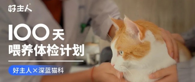 好主人100天喂養計劃成功收官 分階主糧引領精細化養寵趨勢