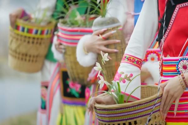 第31屆中國（維西）蘭花博覽會(huì)舉辦時(shí)間和舉辦地點(diǎn)
