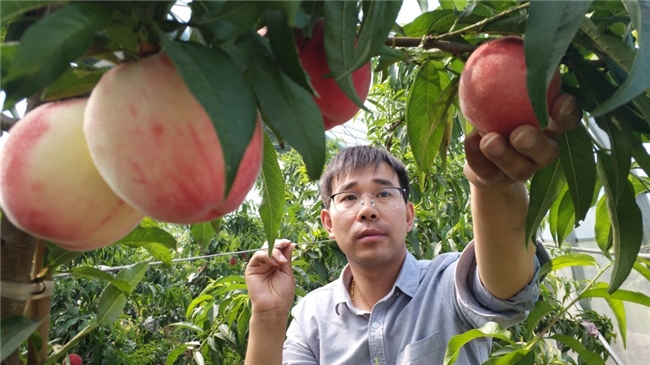 從“職業(yè)農(nóng)民”到集團CEO:青年企業(yè)家張春虎的進(jìn)階之路(圖3)