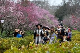 2024中國南京國際梅花節(jié)詳細(xì)游玩攻略