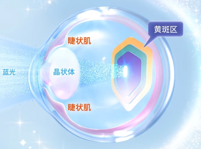 
			首創(chuàng)兒童立體護(hù)眼，inne藍(lán)光盾葉黃素全面防藍(lán)光保護(hù)視力領(lǐng)先一步
		(圖1)