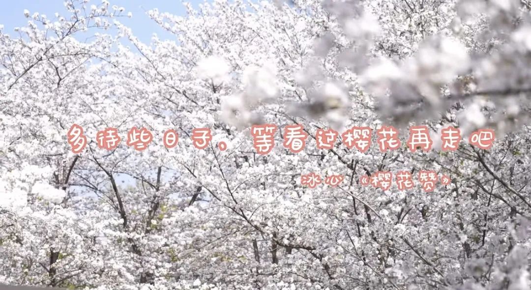 光明致優攜手東一美術館，提香名畫《花神》驚艷亮相