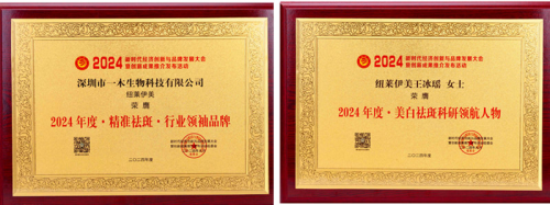 紐萊伊美閃耀新時(shí)代經(jīng)濟(jì)創(chuàng)新品牌發(fā)展大會(huì)，榮獲精準(zhǔn)斑雙項(xiàng)大獎(jiǎng)