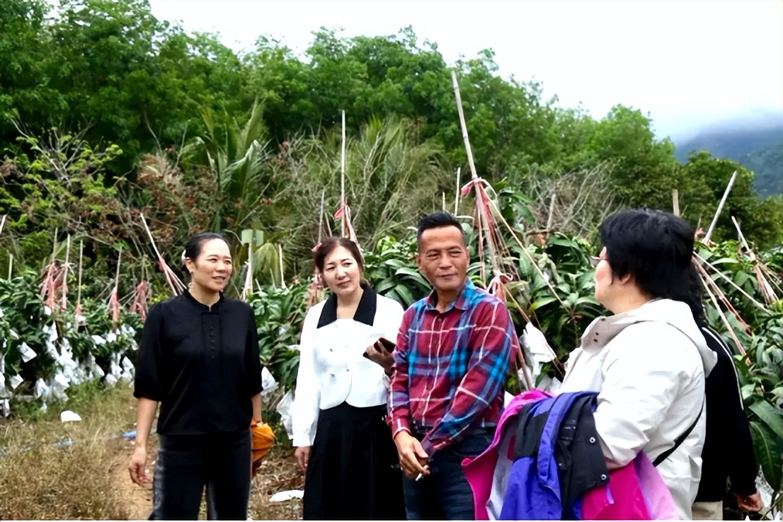 山海聯(lián)動！晉瓊康養(yǎng)新生態(tài)鏈，“健康家園”在海南！(圖10)