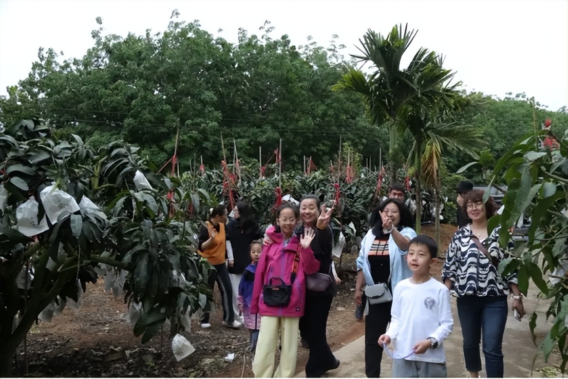 山海聯(lián)動！晉瓊康養(yǎng)新生態(tài)鏈，“健康家園”在海南！(圖19)