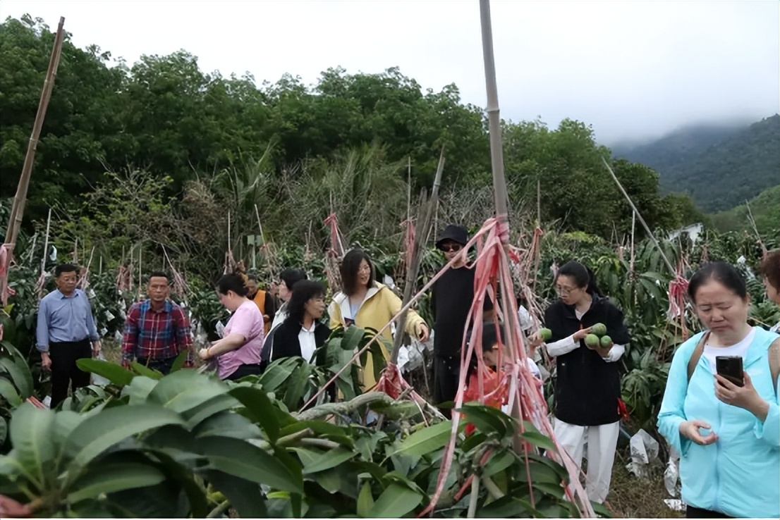 山海聯(lián)動！晉瓊康養(yǎng)新生態(tài)鏈，“健康家園”在海南！(圖24)