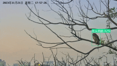 全球人力資源高管齊聚Expand24上海站首場(chǎng)活動(dòng)