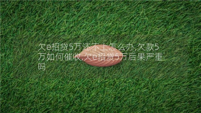 欠e招貸5萬(wàn)還不上怎么辦,欠款5萬(wàn)如何催收,欠e招貸5萬(wàn)后果嚴(yán)重嗎