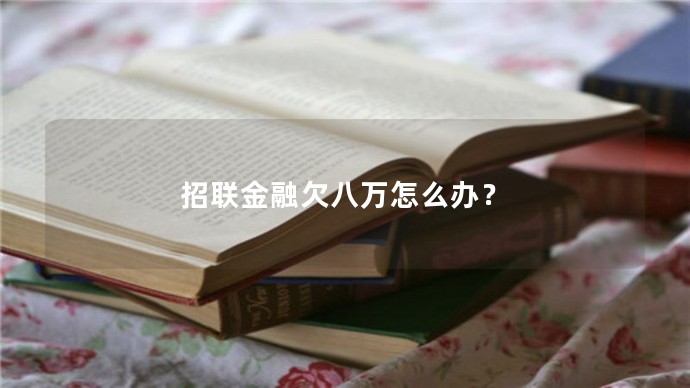 招聯(lián)金融欠八萬(wàn)怎么辦？